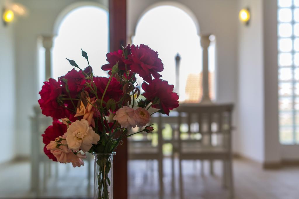 Villa Alma Veli Lošinj Extérieur photo